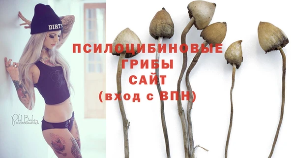 кокс Абаза