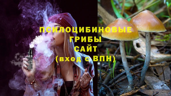 амф Алзамай